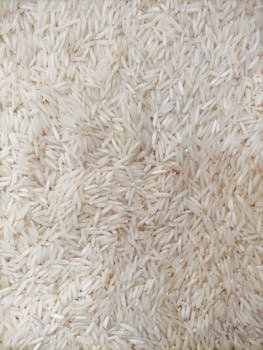 Detailed close-up view of basmati rice grains displaying texture and uniformity.
